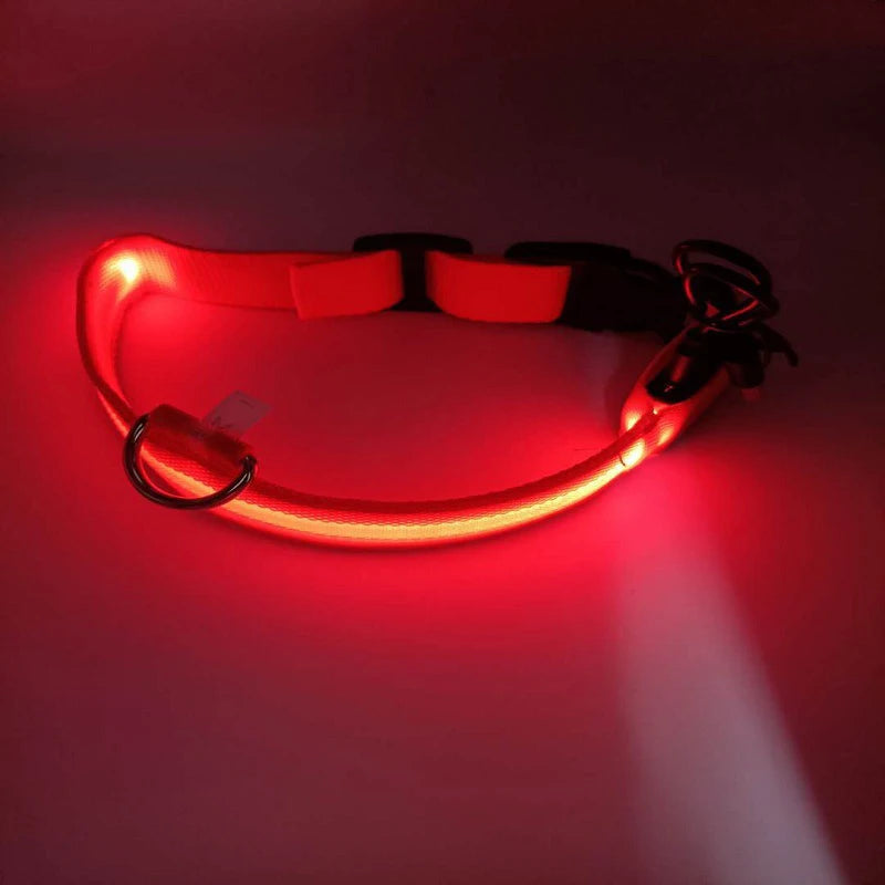Nylon LED Night Safety Flashing Glow In The Dark Dog Leash Dogs Luminous Fluorescent Pet Dog Collar