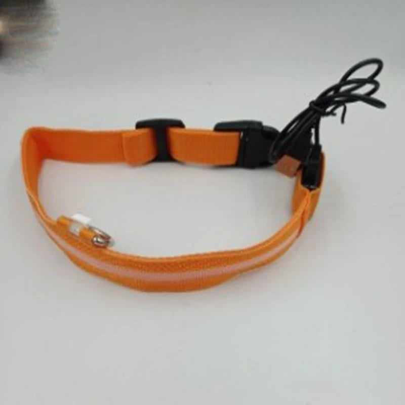 Nylon LED Night Safety Flashing Glow In The Dark Dog Leash Dogs Luminous Fluorescent Pet Dog Collar