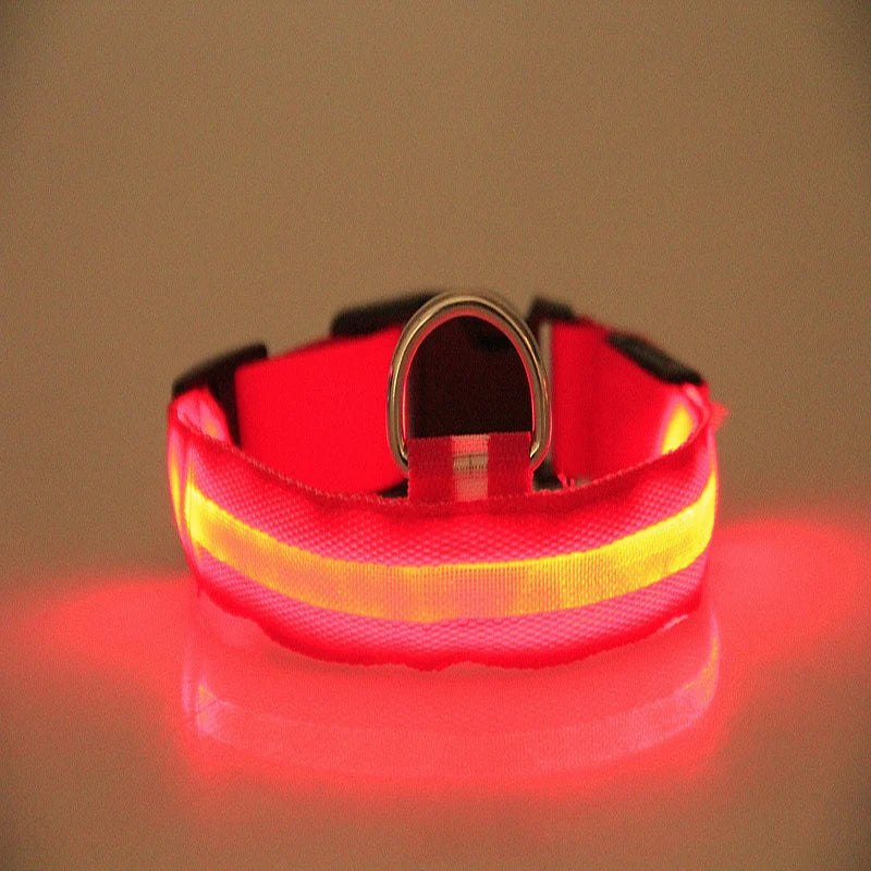 Nylon LED Night Safety Flashing Glow In The Dark Dog Leash Dogs Luminous Fluorescent Pet Dog Collar