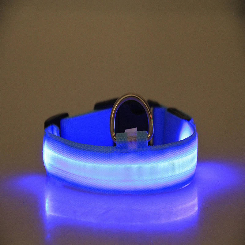 Nylon LED Night Safety Flashing Glow In The Dark Dog Leash Dogs Luminous Fluorescent Pet Dog Collar