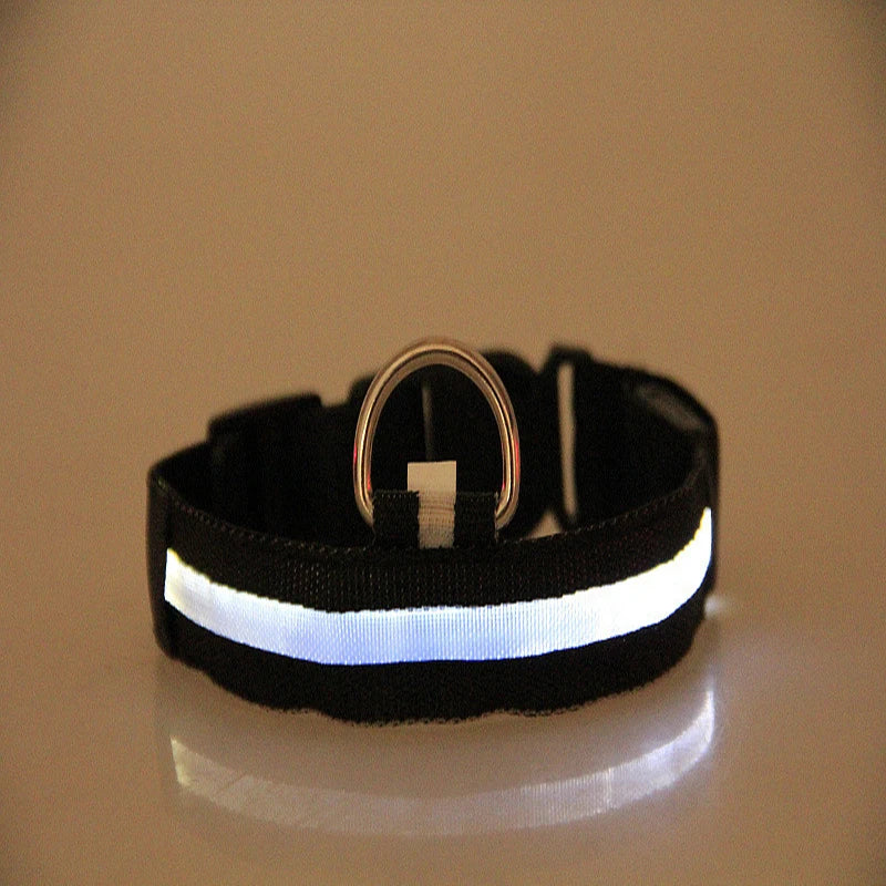 Nylon LED Night Safety Flashing Glow In The Dark Dog Leash Dogs Luminous Fluorescent Pet Dog Collar